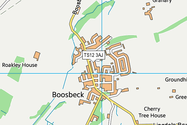 TS12 3AJ map - OS VectorMap District (Ordnance Survey)