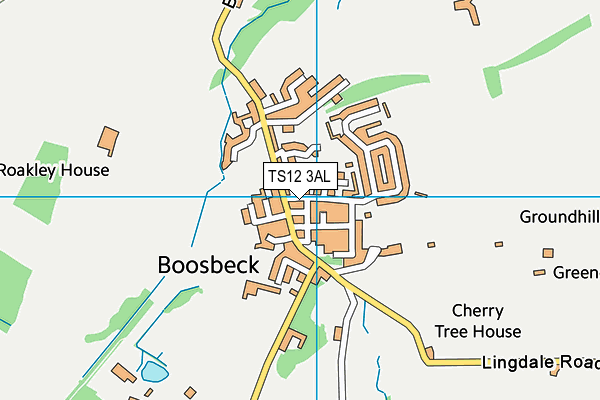 TS12 3AL map - OS VectorMap District (Ordnance Survey)