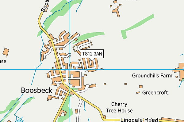 TS12 3AN map - OS VectorMap District (Ordnance Survey)