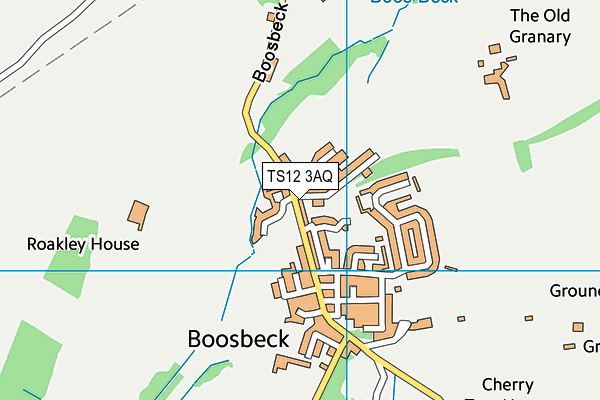 TS12 3AQ map - OS VectorMap District (Ordnance Survey)