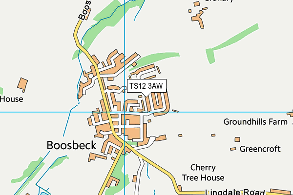 TS12 3AW map - OS VectorMap District (Ordnance Survey)