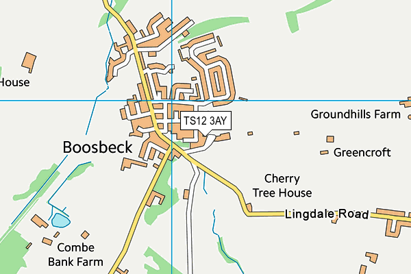 TS12 3AY map - OS VectorMap District (Ordnance Survey)