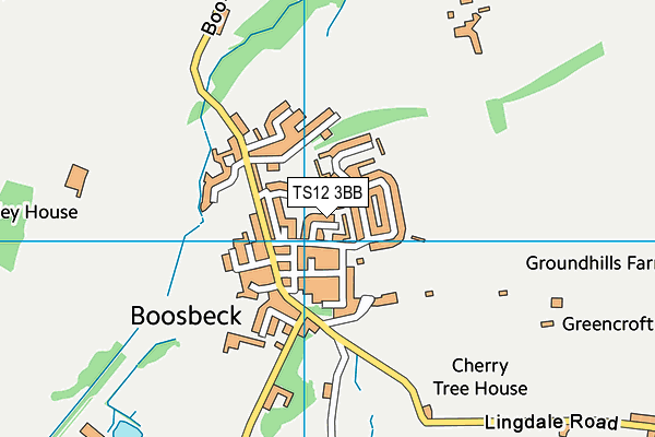 TS12 3BB map - OS VectorMap District (Ordnance Survey)