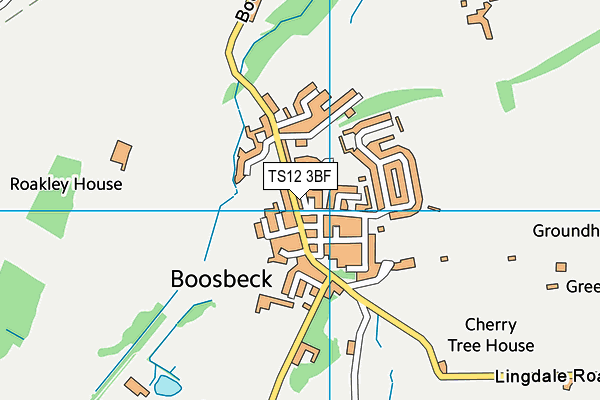 TS12 3BF map - OS VectorMap District (Ordnance Survey)