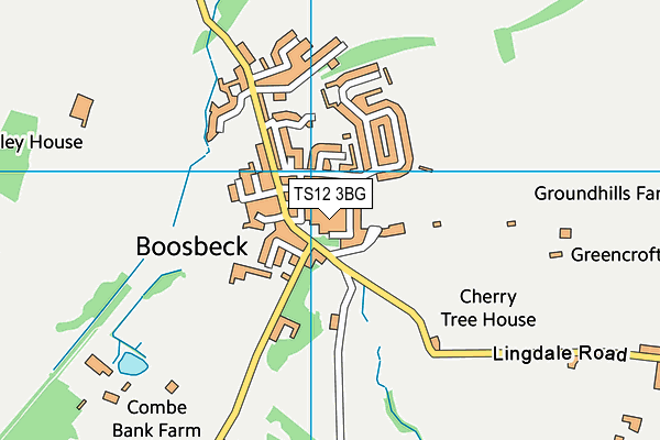 TS12 3BG map - OS VectorMap District (Ordnance Survey)