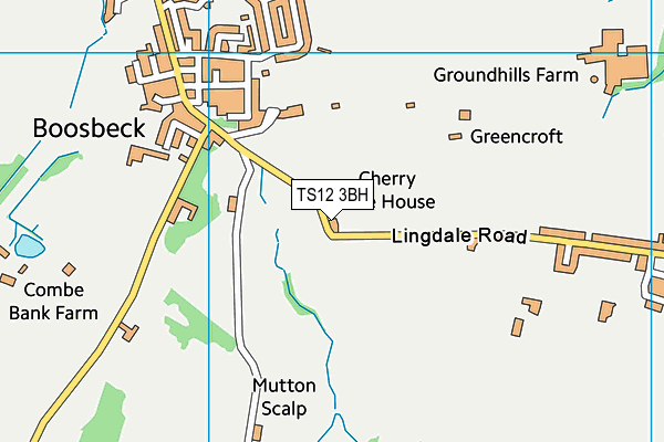 TS12 3BH map - OS VectorMap District (Ordnance Survey)