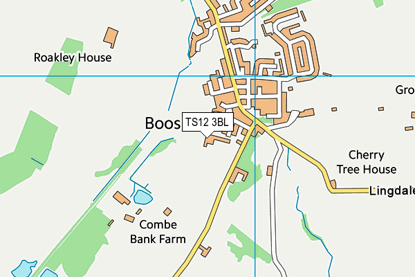 Lockwood Primary School map (TS12 3BL) - OS VectorMap District (Ordnance Survey)