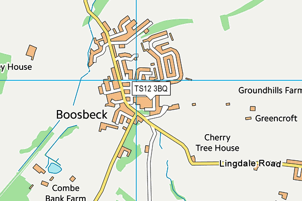 TS12 3BQ map - OS VectorMap District (Ordnance Survey)