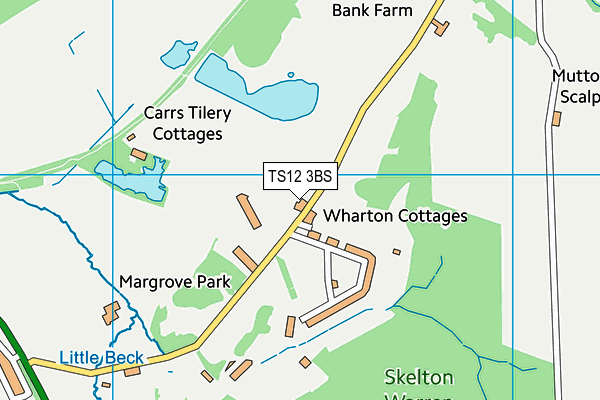 TS12 3BS map - OS VectorMap District (Ordnance Survey)