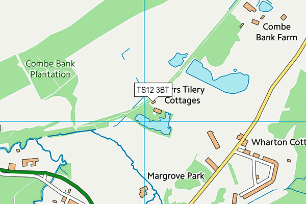 TS12 3BT map - OS VectorMap District (Ordnance Survey)