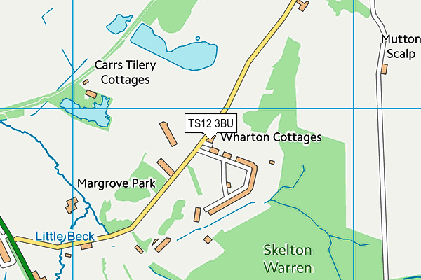 TS12 3BU map - OS VectorMap District (Ordnance Survey)