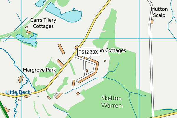 TS12 3BX map - OS VectorMap District (Ordnance Survey)