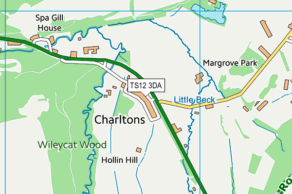 TS12 3DA map - OS VectorMap District (Ordnance Survey)