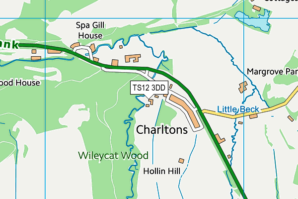 TS12 3DD map - OS VectorMap District (Ordnance Survey)