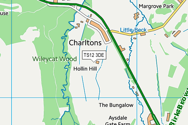 TS12 3DE map - OS VectorMap District (Ordnance Survey)