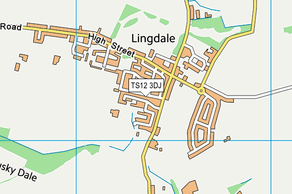 TS12 3DJ map - OS VectorMap District (Ordnance Survey)