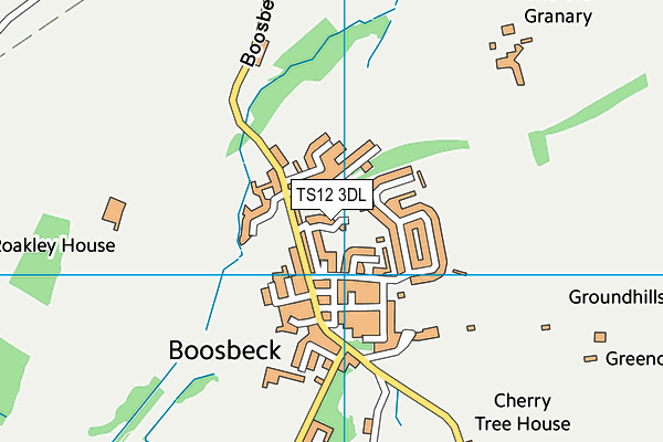 TS12 3DL map - OS VectorMap District (Ordnance Survey)