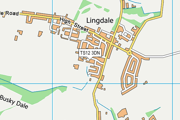 TS12 3DN map - OS VectorMap District (Ordnance Survey)