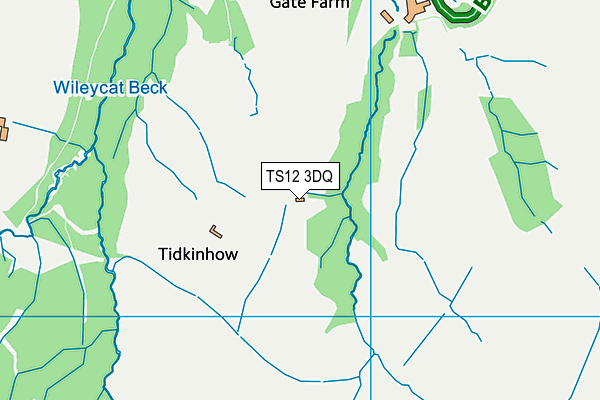 TS12 3DQ map - OS VectorMap District (Ordnance Survey)