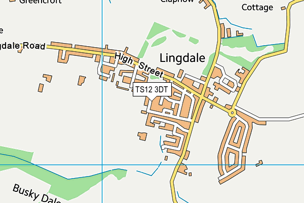 TS12 3DT map - OS VectorMap District (Ordnance Survey)