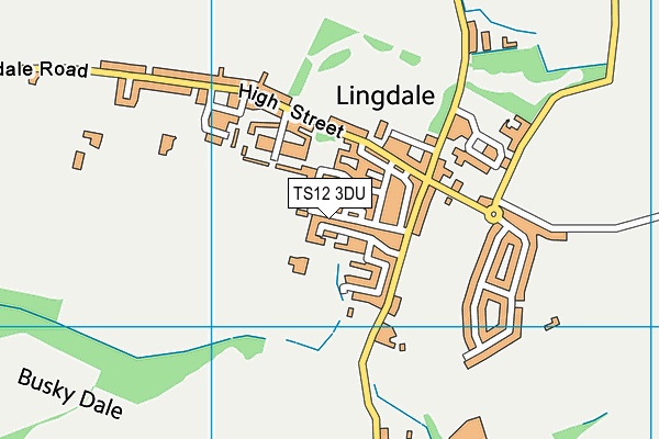 Lingdale Primary School map (TS12 3DU) - OS VectorMap District (Ordnance Survey)