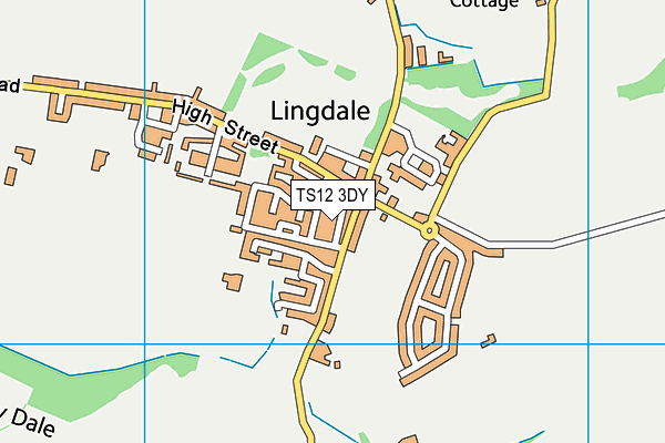 TS12 3DY map - OS VectorMap District (Ordnance Survey)