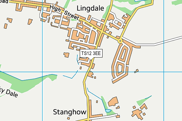 TS12 3EE map - OS VectorMap District (Ordnance Survey)