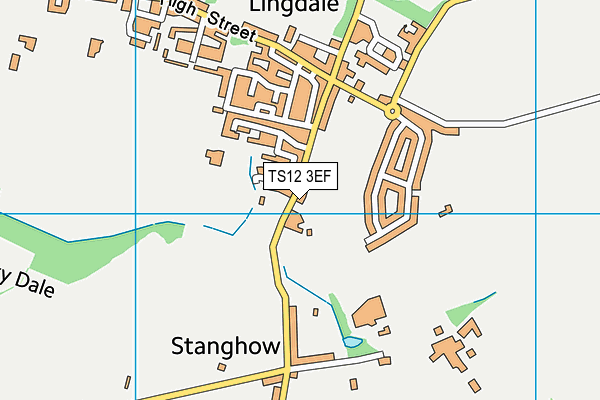 TS12 3EF map - OS VectorMap District (Ordnance Survey)