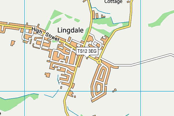 TS12 3EG map - OS VectorMap District (Ordnance Survey)