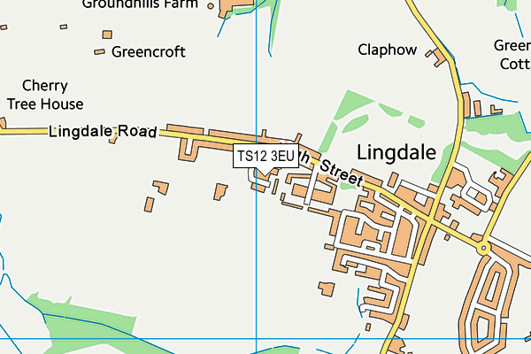 TS12 3EU map - OS VectorMap District (Ordnance Survey)