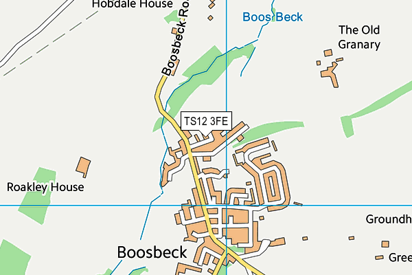 TS12 3FE map - OS VectorMap District (Ordnance Survey)