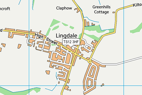 TS12 3HF map - OS VectorMap District (Ordnance Survey)