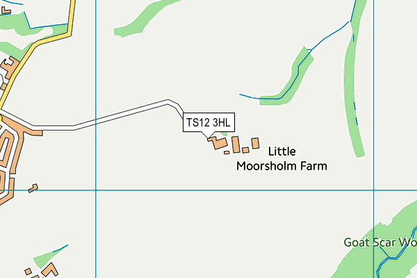 TS12 3HL map - OS VectorMap District (Ordnance Survey)