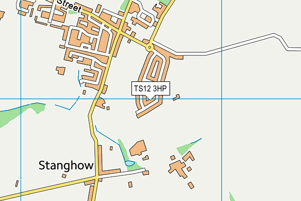 TS12 3HP map - OS VectorMap District (Ordnance Survey)
