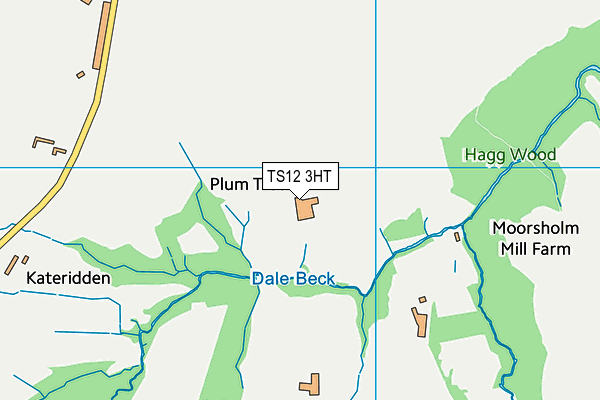 TS12 3HT map - OS VectorMap District (Ordnance Survey)