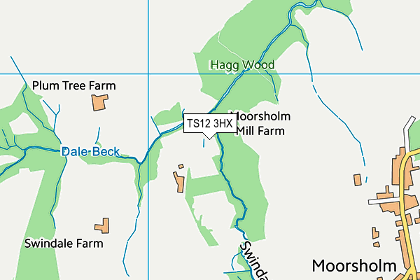 TS12 3HX map - OS VectorMap District (Ordnance Survey)