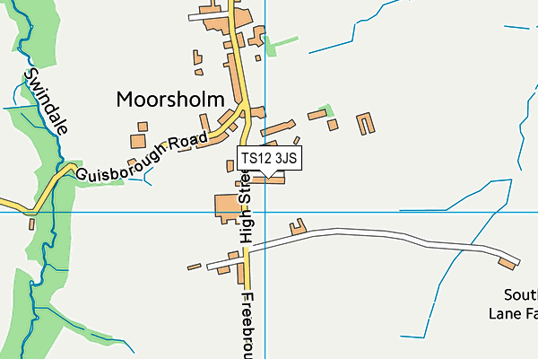 TS12 3JS map - OS VectorMap District (Ordnance Survey)