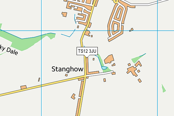 TS12 3JU map - OS VectorMap District (Ordnance Survey)