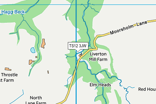 TS12 3JW map - OS VectorMap District (Ordnance Survey)