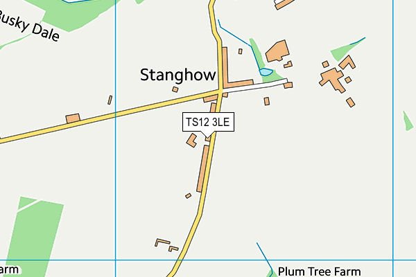 TS12 3LE map - OS VectorMap District (Ordnance Survey)