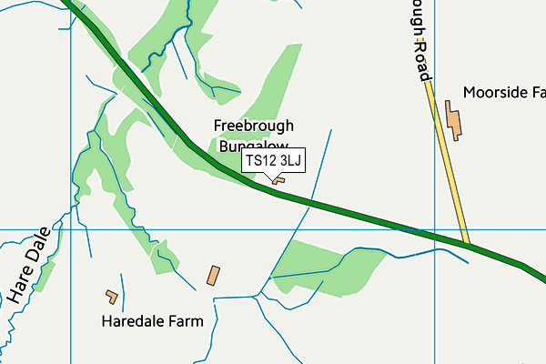 TS12 3LJ map - OS VectorMap District (Ordnance Survey)