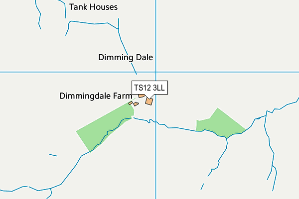 TS12 3LL map - OS VectorMap District (Ordnance Survey)