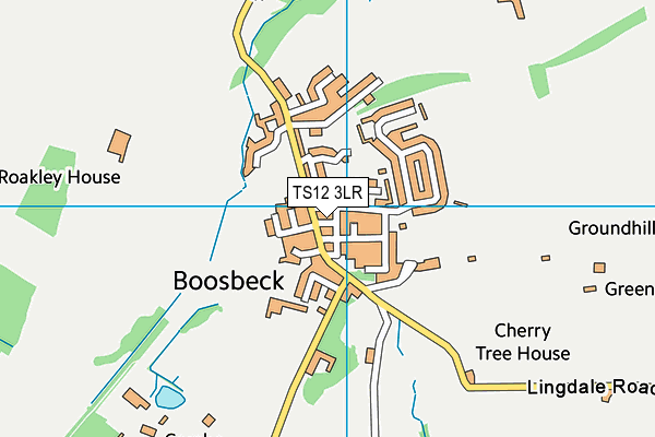 TS12 3LR map - OS VectorMap District (Ordnance Survey)