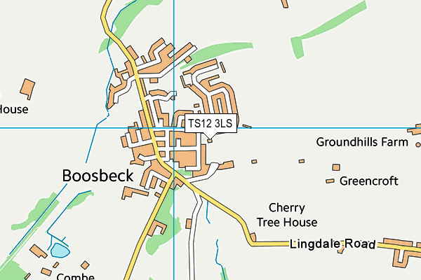 TS12 3LS map - OS VectorMap District (Ordnance Survey)