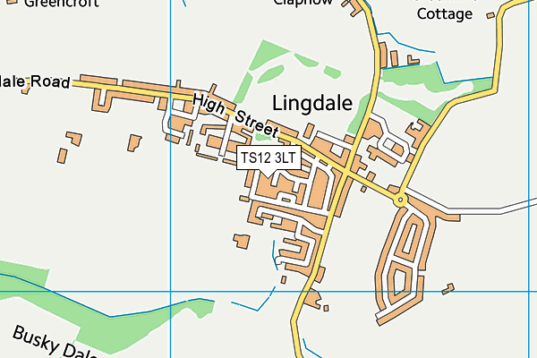 TS12 3LT map - OS VectorMap District (Ordnance Survey)