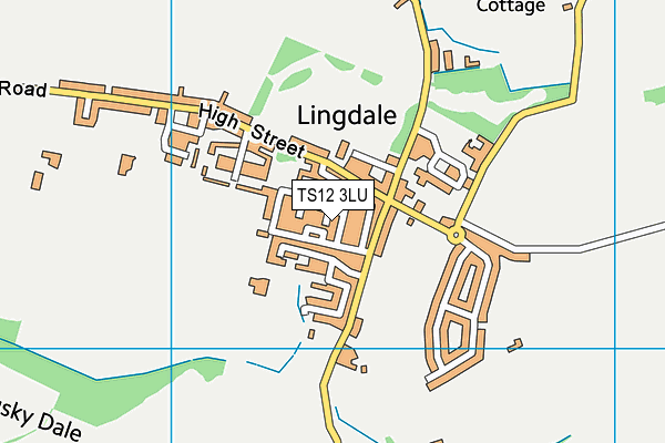 TS12 3LU map - OS VectorMap District (Ordnance Survey)