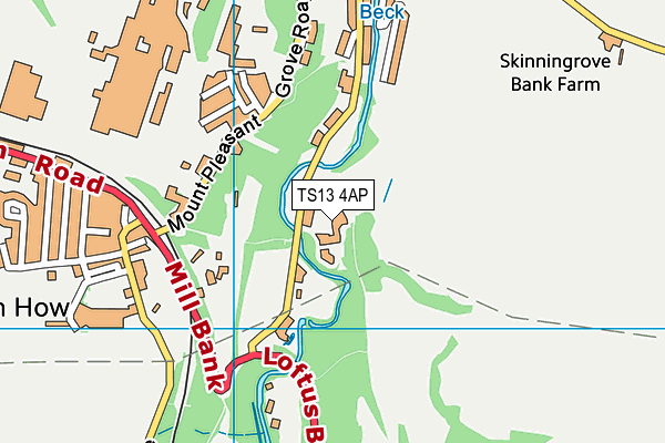 TS13 4AP map - OS VectorMap District (Ordnance Survey)