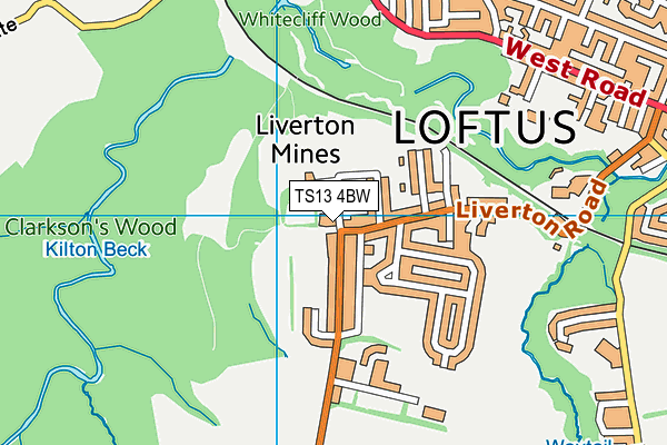 TS13 4BW map - OS VectorMap District (Ordnance Survey)