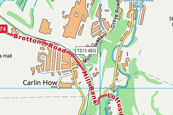 TS13 4EG map - OS VectorMap District (Ordnance Survey)