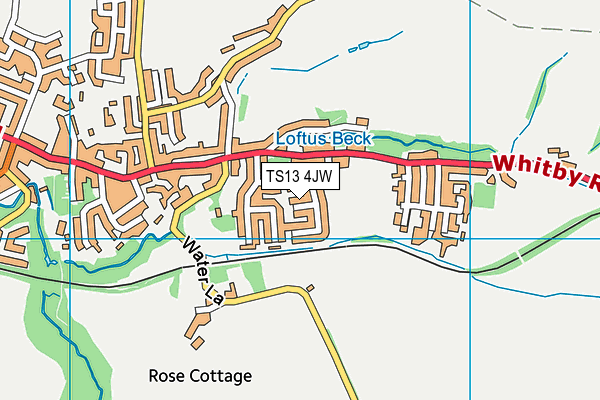 TS13 4JW map - OS VectorMap District (Ordnance Survey)